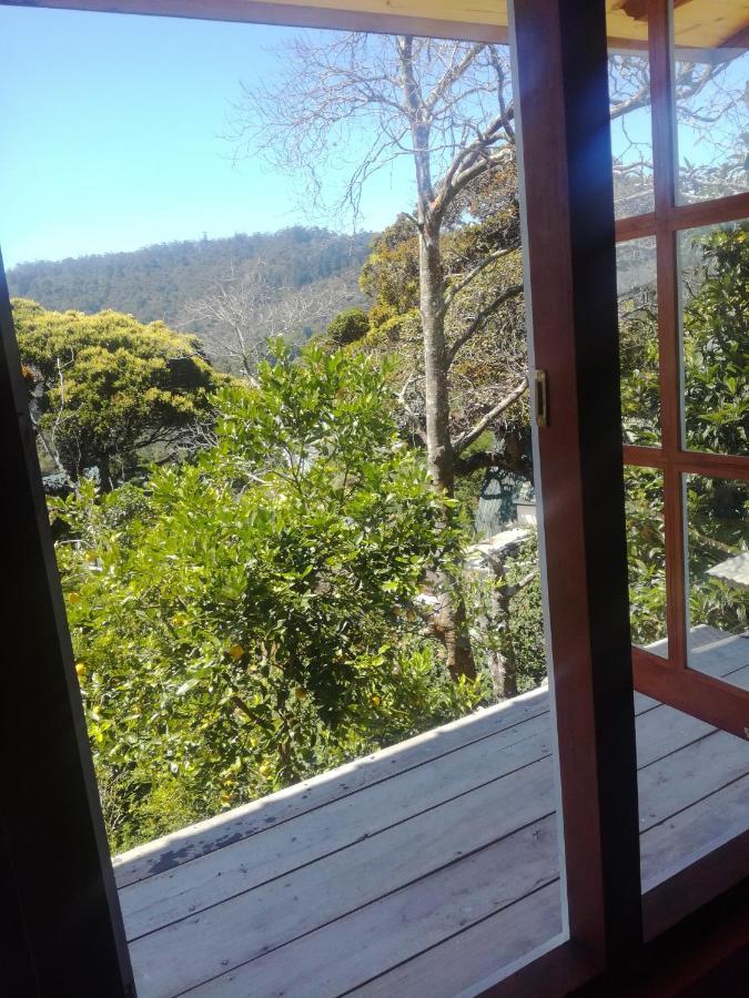 Sincere Wilderness Home stay Nuwara Eliya Eksteriør billede
