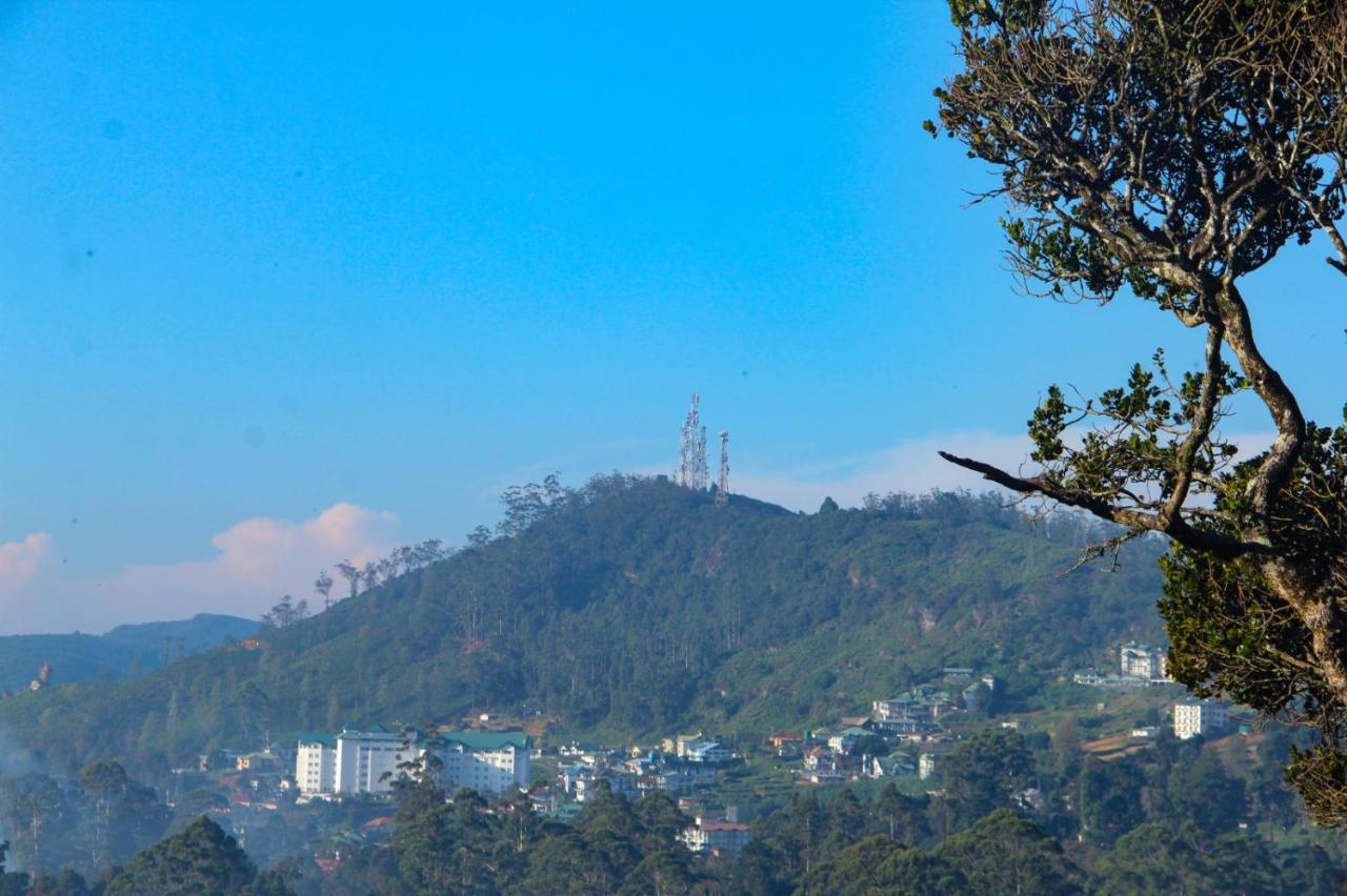 Sincere Wilderness Home stay Nuwara Eliya Eksteriør billede