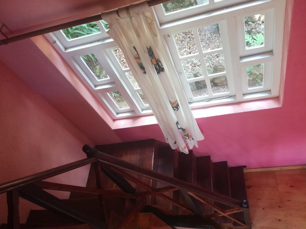 Sincere Wilderness Home stay Nuwara Eliya Eksteriør billede